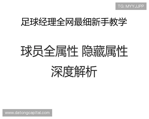 武汉足球队个人特性够深度解析与增长潜力探讨