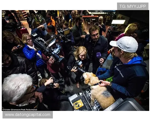 北京极限货品队转型之路:挑战与机遇并存的得失分析